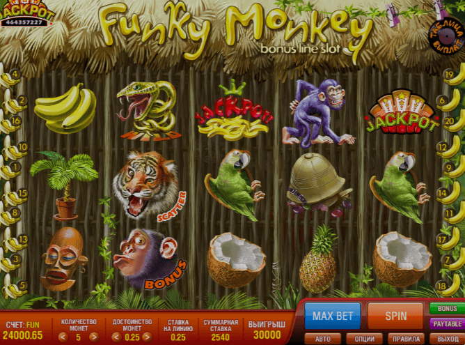 Funky Monkey - funky slots